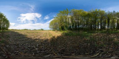 Sonbaharda kırsal bir koruda 360 fotoğraf.