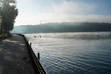 Chisinau, Moldova. 25 Ekim 2024. Panoramik manzara Valea Morilor Park Gölü şehir merkezinde sisli bir sabah gününde.