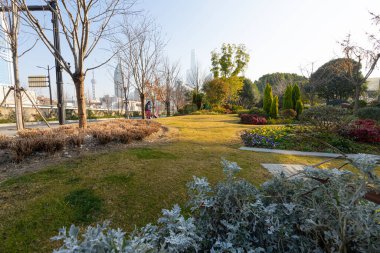 Şangay, Çin. 8 Ocak 2025. Arka planda Pudong finans merkezi binaları olan bir şehir merkezi parkında yürüyüş.