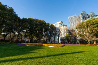 Şangay, Çin. 10 Ocak 2025. Şehir merkezindeki Kuzey Bund Green Land 'den gökdelenlerin panoramik görüntüsü