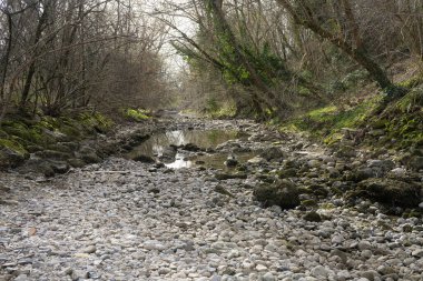 Kışın parktaki küçük kuru bir derenin yatağı.