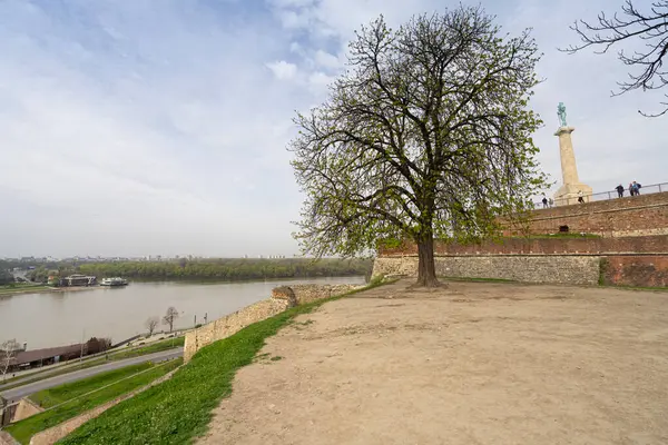 Belgrad, Sırbistan. 22 Mart 2025. Şehir merkezindeki Ana Gezinti Alanı 'nın panoramik görüntüsü