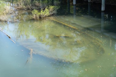 Burci 'nin mezarlığı, 1900' lerin başında İtalya 'nın Treviso kenti yakınlarındaki Sile Nehri' nin bir kıvrımında nehir ticareti için kullanılan tipik Venedik ticaret gemileri.