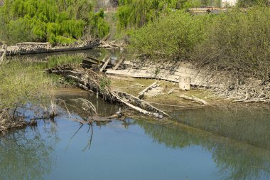 Burci 'nin mezarlığı, 1900' lerin başında İtalya 'nın Treviso kenti yakınlarındaki Sile Nehri' nin bir kıvrımında nehir ticareti için kullanılan tipik Venedik ticaret gemileri.