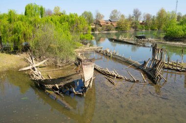 Burci 'nin mezarlığı, 1900' lerin başında İtalya 'nın Treviso kenti yakınlarındaki Sile Nehri' nin bir kıvrımında nehir ticareti için kullanılan tipik Venedik ticaret gemileri.