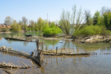 Burci 'nin mezarlığı, 1900' lerin başında İtalya 'nın Treviso kenti yakınlarındaki Sile Nehri' nin bir kıvrımında nehir ticareti için kullanılan tipik Venedik ticaret gemileri.
