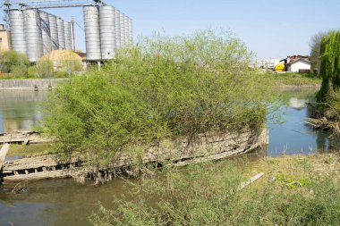 Burci 'nin mezarlığı, 1900' lerin başında İtalya 'nın Treviso kenti yakınlarındaki Sile Nehri' nin bir kıvrımında nehir ticareti için kullanılan tipik Venedik ticaret gemileri.