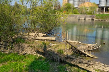 Burci 'nin mezarlığı, 1900' lerin başında İtalya 'nın Treviso kenti yakınlarındaki Sile Nehri' nin bir kıvrımında nehir ticareti için kullanılan tipik Venedik ticaret gemileri.