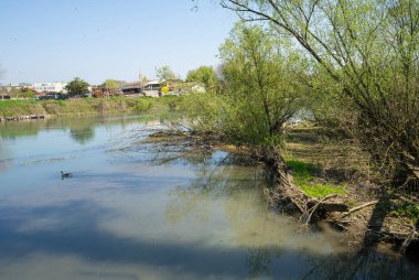 Burci 'nin mezarlığı, 1900' lerin başında İtalya 'nın Treviso kenti yakınlarındaki Sile Nehri' nin bir kıvrımında nehir ticareti için kullanılan tipik Venedik ticaret gemileri.