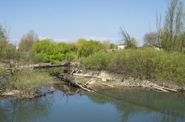 Burci 'nin mezarlığı, 1900' lerin başında İtalya 'nın Treviso kenti yakınlarındaki Sile Nehri' nin bir kıvrımında nehir ticareti için kullanılan tipik Venedik ticaret gemileri.