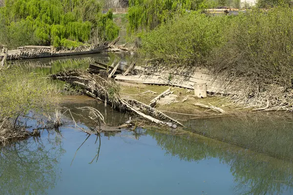 Burci 'nin mezarlığı, 1900' lerin başında İtalya 'nın Treviso kenti yakınlarındaki Sile Nehri' nin bir kıvrımında nehir ticareti için kullanılan tipik Venedik ticaret gemileri.