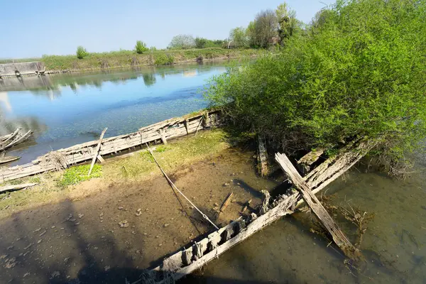 Burci 'nin mezarlığı, 1900' lerin başında İtalya 'nın Treviso kenti yakınlarındaki Sile Nehri' nin bir kıvrımında nehir ticareti için kullanılan tipik Venedik ticaret gemileri.