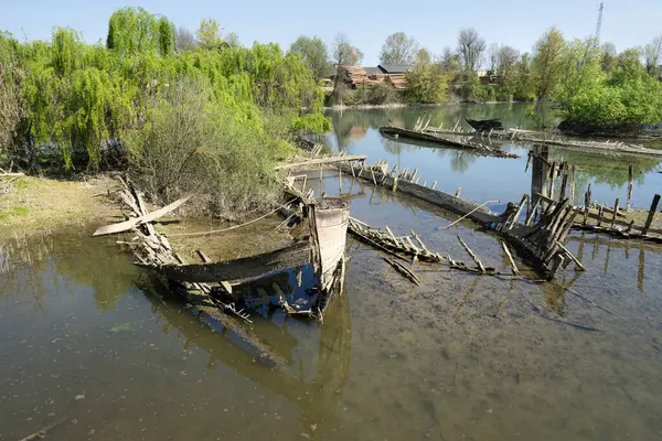 Burci 'nin mezarlığı, 1900' lerin başında İtalya 'nın Treviso kenti yakınlarındaki Sile Nehri' nin bir kıvrımında nehir ticareti için kullanılan tipik Venedik ticaret gemileri.