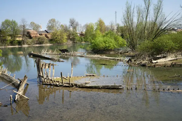 Burci 'nin mezarlığı, 1900' lerin başında İtalya 'nın Treviso kenti yakınlarındaki Sile Nehri' nin bir kıvrımında nehir ticareti için kullanılan tipik Venedik ticaret gemileri.