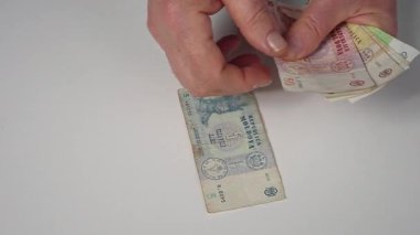 Masadaki Moldovya leu banknotlarını sayıyorum.