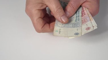 Masadaki Moldovya leu banknotlarını sayıyorum.