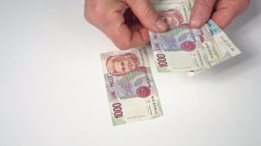 Masadaki bazı eski İtalyan Liretleri banknotlarını sayıyorum.