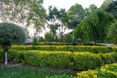 Tiflis, Georgia. 17 Mayıs 2025. Tarihi şehir merkezindeki Mdinarispira bahçesinin panoramik manzarası.