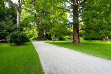 Innsbruck, Avusturya. 31 Temmuz 2025. Şehrin merkezindeki Innsbruck Court Garden 'ın panoramik görüntüsü