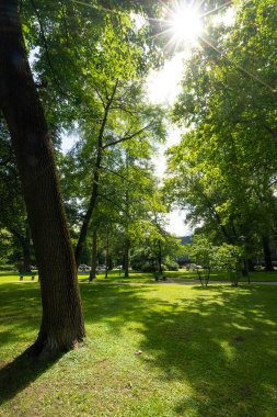 Innsbruck, Avusturya. 1 Ağustos 2025. Şehir merkezindeki Innsbruck Court Garden 'ın panoramik görüntüsü.