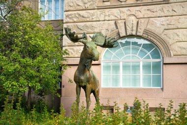 Helsinki, Finlandiya. 27 Ağustos 2025. Şehir merkezindeki Doğal Tarih Müzesi 'nin önündeki ren geyiği heykeli.