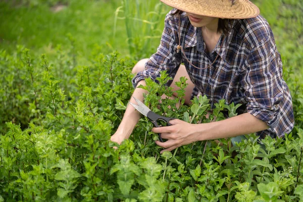 Uma Jovem Chapéu Palha Está Envolvida Trabalhos Jardinagem Processa Solo — Fotografia de Stock
