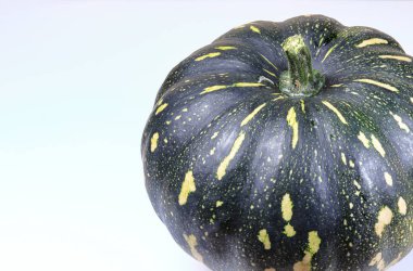 Japon Yeşil kabağı beyaz arkaplanda izole.