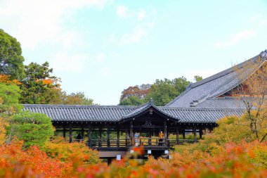 İnsanlar Higashiyama, Kyoto 'daki Tofuku-ji Tapınağı' ndaki sonbahar manzarasını görmeye geliyor..