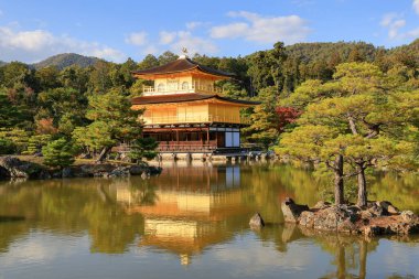 Altın Pavyon, Kinkakuji veya Rokuonji Kuzey Kyoto Japonya 'da bir Zen tapınağıdır..