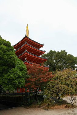 Şehrin göbeğindeki güzel bir Japon bahçesinde sonbahar..