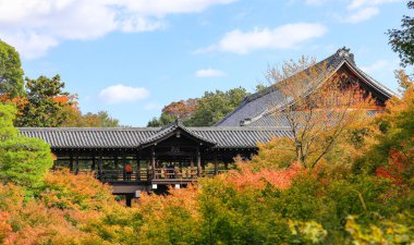 İnsanlar Higashiyama, Kyoto 'daki Tofuku-ji Tapınağı' ndaki sonbahar manzarasını görmeye geliyor..