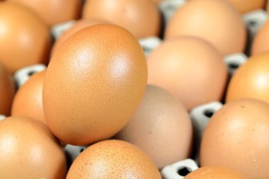 Doğa ışığında yumurta kutusundaki tavuk yumurtalarının çiğ hali.