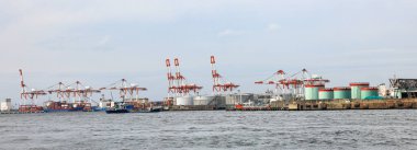 Osaka Japonya 'daki konteynır limanı, kargo konteynır gemisi için endüstriyel limanda konteyner vinci. Modern nakliye konteynır terminalinde kargo taşımacılığı ve aktivite.