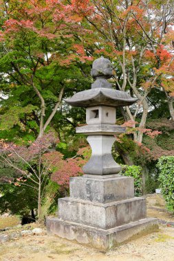 Bahçedeki Japon taş feneri, Japonya 'daki güzel sonbahar manzarası..