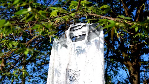 wedding dress for groom hanging in a tree