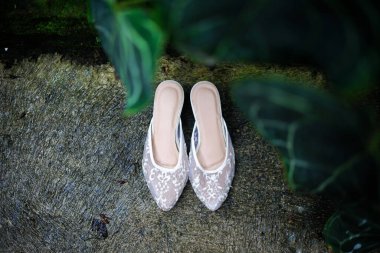 Çimlerin üzerinde alyanslar