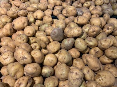 Süpermarket raflarında taze patates. Organik yiyecekler. Sağlıklı yemek..
