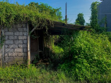 Terk edilmiş eski bir bina. Eski, boş binanın etrafında yabani bitkiler yetişti..