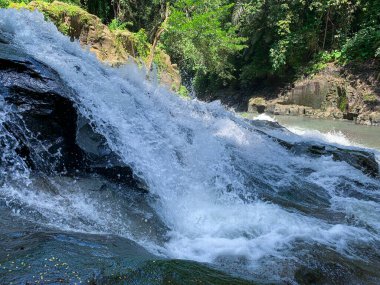 Su, ormanın ortasındaki kayaların arasından akar. Küçük şelale. Doğa hakkında manzara.