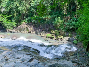 Su, ormanın ortasındaki kayaların arasından akar. Küçük şelale. Doğa hakkında manzara.