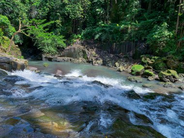 Su, ormanın ortasındaki kayaların arasından akar. Küçük şelale. Doğa hakkında manzara.