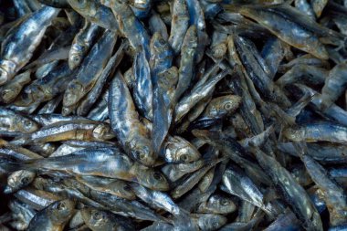 Tuzlu balıkların arka planı geleneksel pazarlarda satılır. Geleneksel gıda malzemeleri