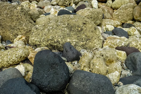 바위와 해변의 맹이들 배열되어 있노라 — 스톡 사진