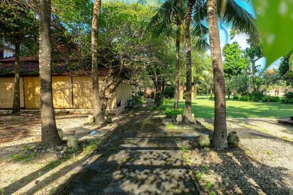 Het Pad Tussen Kokosbomen Prachtige Tuin Aan Het Strand Bali — Stockfoto