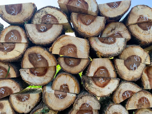 Stos Kawałków Drewna Ścięte Drewno Używane Budowy Lub Produkcji Materiałów — Zdjęcie stockowe