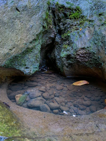 岩石之间的天然水坑 — 图库照片