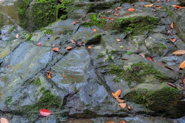 Великий Природний Камінь Березі Річки Фон Великого Мохоподібного Природного Каменю — стокове фото