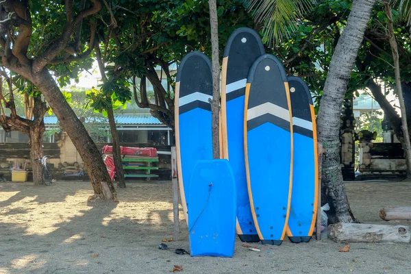 Plajda duran sörf tahtası. Kiralamaya hazır