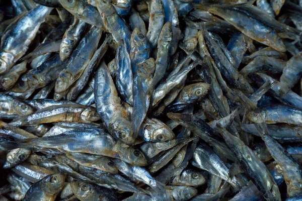 Tuzlu balıkların arka planı geleneksel pazarlarda satılır. Geleneksel gıda malzemeleri