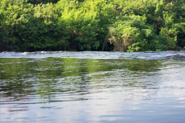 Ağaçlar arasındaki sakin suyun manzarası. Doğa konsepti için güzel bir illüstrasyon